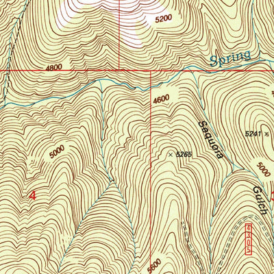 United States Geological Survey Ravenna, MT (1999, 24000-Scale) digital map