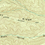 United States Geological Survey Rawley Springs, VA (1967, 24000-Scale) digital map