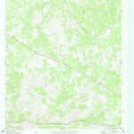 United States Geological Survey Ray Lake SE, TX (1971, 24000-Scale) digital map