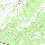 United States Geological Survey Ray Lake SE, TX (1971, 24000-Scale) digital map