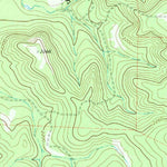 United States Geological Survey Ray Lake, TX (1971, 24000-Scale) digital map