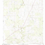 United States Geological Survey Ray Point, TX (1965, 24000-Scale) digital map