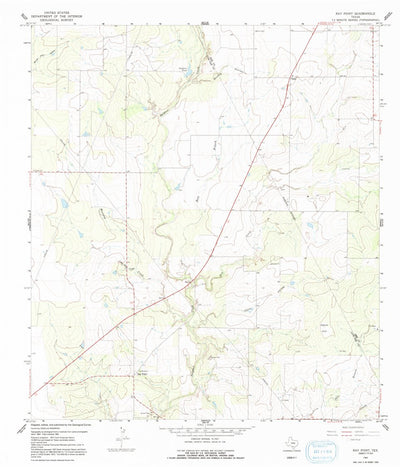 United States Geological Survey Ray Point, TX (1965, 24000-Scale) digital map