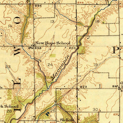 United States Geological Survey Raymond, IL (1925, 62500-Scale) digital map