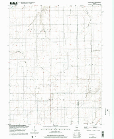 United States Geological Survey Raymond NE, IL (1998, 24000-Scale) digital map