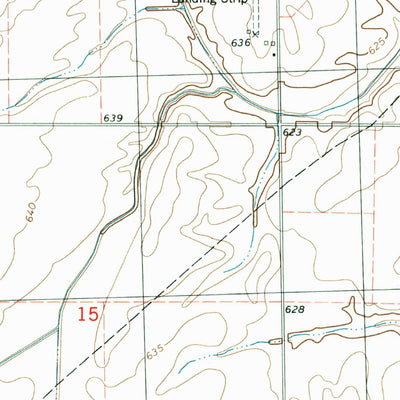 United States Geological Survey Raymond NE, IL (1998, 24000-Scale) digital map