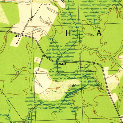 United States Geological Survey Raynor, VA (1945, 31680-Scale) digital map