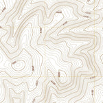 United States Geological Survey Rays, NV (2021, 24000-Scale) digital map