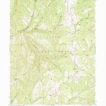 United States Geological Survey Rays Valley, UT (1994, 24000-Scale) digital map