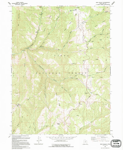 United States Geological Survey Rays Valley, UT (1994, 24000-Scale) digital map
