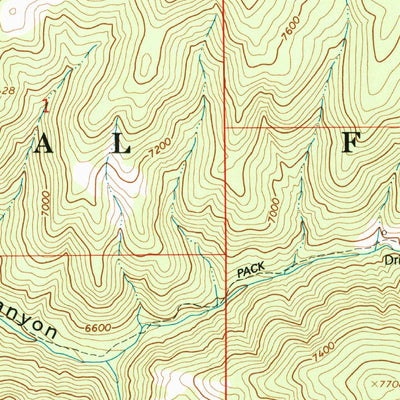United States Geological Survey Rays Valley, UT (1994, 24000-Scale) digital map