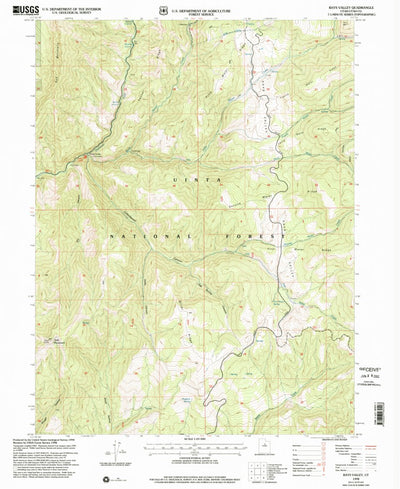 United States Geological Survey Rays Valley, UT (1998, 24000-Scale) digital map