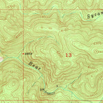 United States Geological Survey Reading Mountain, NM (1950, 24000-Scale) digital map