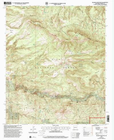 United States Geological Survey Reading Mountain, NM (1999, 24000-Scale) digital map