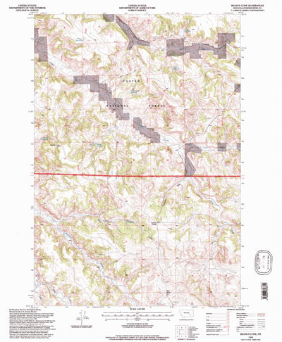 United States Geological Survey Reanus Cone, MT (1995, 24000-Scale) digital map