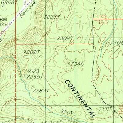 United States Geological Survey Reas Pass, ID-MT (1986, 24000-Scale) digital map