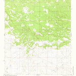 United States Geological Survey Red Bluff Draw West, NM (1981, 24000-Scale) digital map