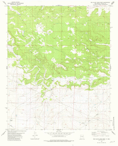 United States Geological Survey Red Bluff Draw West, NM (1981, 24000-Scale) digital map