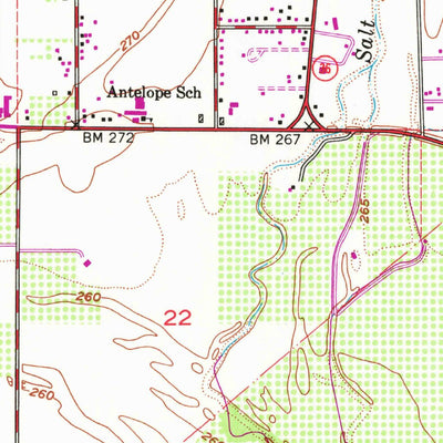 United States Geological Survey Red Bluff East, CA (1951, 24000-Scale) digital map