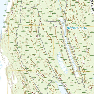 United States Geological Survey Red Leaf, AR (2020, 24000-Scale) digital map