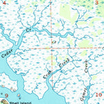 United States Geological Survey Red Level, FL (1954, 24000-Scale) digital map