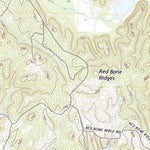 United States Geological Survey Redbud, GA (2020, 24000-Scale) digital map