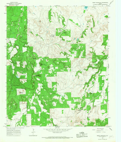 United States Geological Survey Reddy Mountain, TX (1965, 24000-Scale) digital map