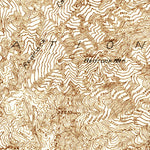 United States Geological Survey Redrock Mountain, CA (1931, 24000-Scale) digital map