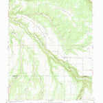 United States Geological Survey Redvale, CO (1964, 24000-Scale) digital map