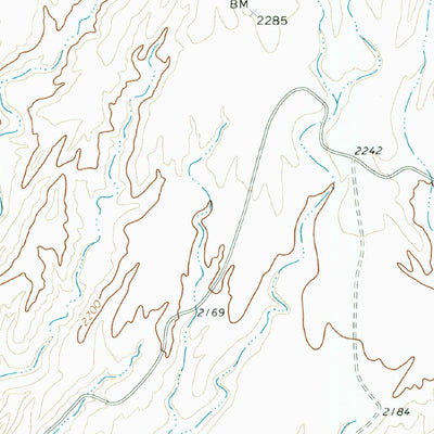 United States Geological Survey Reed Camp, TX (1971, 24000-Scale) digital map
