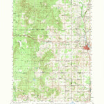 United States Geological Survey Reed City, MI (1959, 62500-Scale) digital map