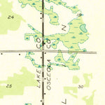 United States Geological Survey Reed City North, MI (1931, 31680-Scale) digital map