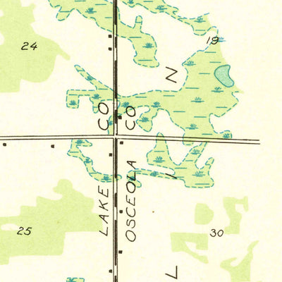 United States Geological Survey Reed City North, MI (1931, 31680-Scale) digital map