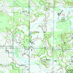 United States Geological Survey Reed City North, MI (1987, 24000-Scale) digital map