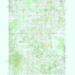 United States Geological Survey Reed City South, MI (1987, 24000-Scale) digital map