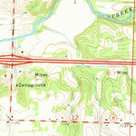 United States Geological Survey Reeds, MO (1971, 24000-Scale) digital map
