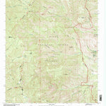 United States Geological Survey Reeds Peak, NM (1999, 24000-Scale) digital map