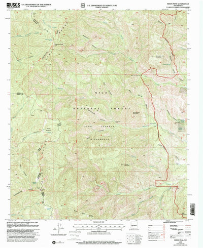 United States Geological Survey Reeds Peak, NM (1999, 24000-Scale) digital map