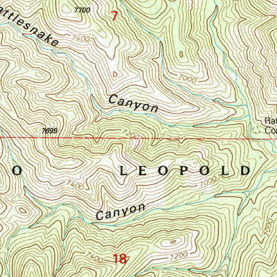 United States Geological Survey Reeds Peak, NM (1999, 24000-Scale) digital map