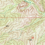 United States Geological Survey Reeds Peak, NM (1999, 24000-Scale) digital map