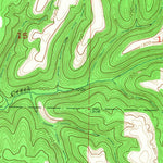 United States Geological Survey Reeds Spring, MO (1956, 24000-Scale) digital map
