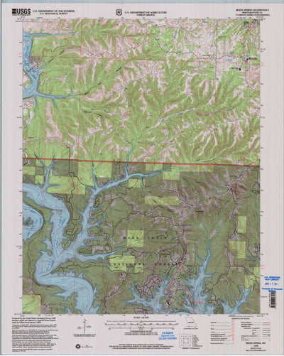 United States Geological Survey Reeds Spring, MO (1999, 24000-Scale) digital map
