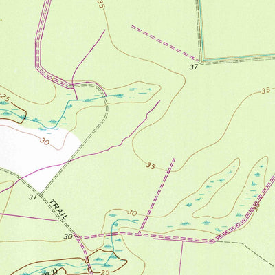United States Geological Survey Reelsboro, NC (1969, 24000-Scale) digital map
