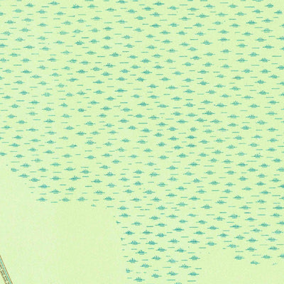 United States Geological Survey Reelsboro, NC (1969, 24000-Scale) digital map