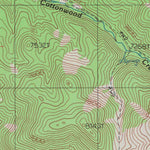 United States Geological Survey Reese River Butte, NV (1988, 24000-Scale) digital map