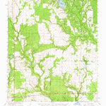 United States Geological Survey Reeves, LA (1961, 62500-Scale) digital map