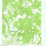 United States Geological Survey Regency, TX (1980, 24000-Scale) digital map