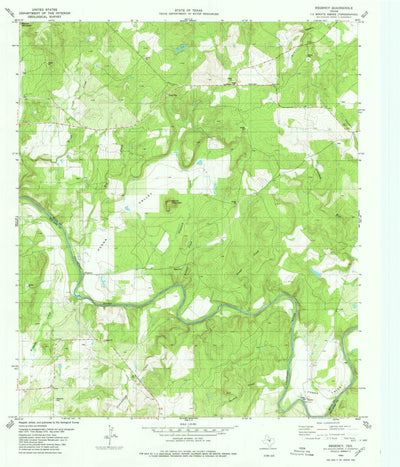 United States Geological Survey Regency, TX (1980, 24000-Scale) digital map