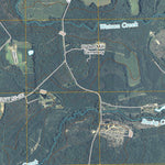 United States Geological Survey Reidsville West, GA (2011, 24000-Scale) digital map