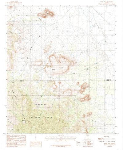 United States Geological Survey Reiley Peak, AZ (1985, 24000-Scale) digital map